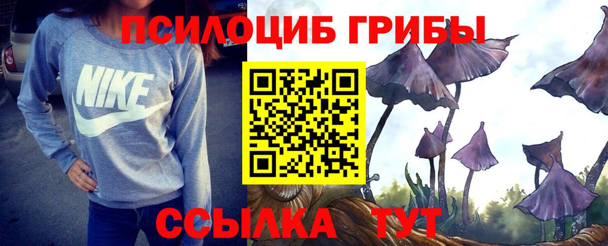 Тавда  Псилоцибиновые грибы ЛСД  Вход с VPN 